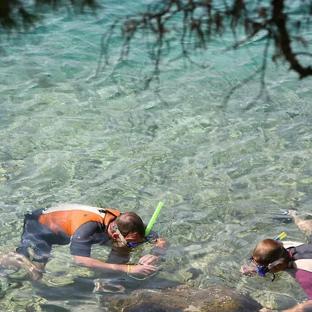 Отель Hotel Sali